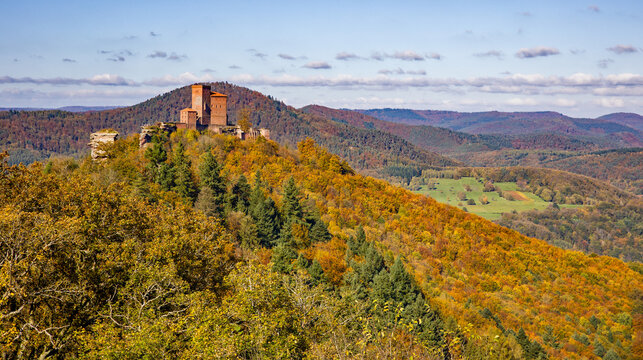 view over the colorful autumnal mixed forest and the hills of the southern palatinate in the afternoon sunlight