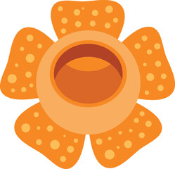 Rafflesia arnoldii flower blooming and showing its hole, a rare fleshy parasitic plant with the largest flower in the world