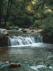 Obraz premium River flowing through dense foliage