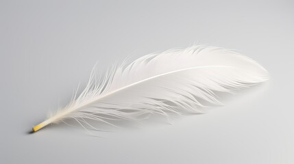 Obraz premium Delicate white feather resting on a smooth gray surface under soft lighting