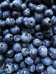background with blueberries
