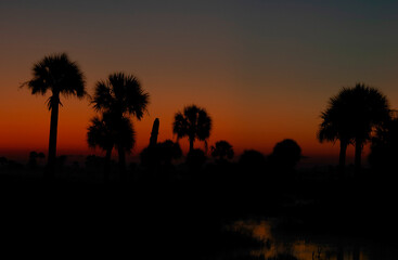 At twilight, the sky glows orange behind a tropical landscape of silhouetted cabbage palms and grasses and casts a warm light into the still water in the foreground. Central Florida. Horizontal