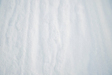 Obraz premium shoe prints and wheel marks on white fluffy snow blanketing the ground. full frame, winter texture background