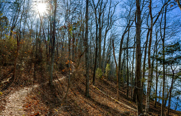 A hiking trail winds through a mountain forest of bare trees in winter. A bright sun in a blue sky shines through the branches and illuminates the scenery. Brooker T Washington Park, TN. Horizontal