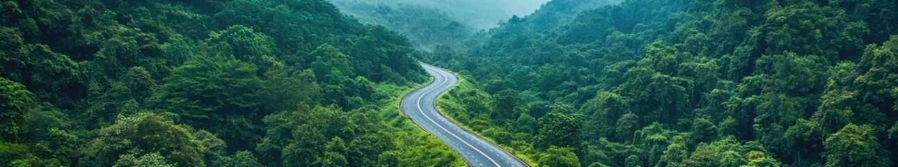 Winding road through lush green forest landscape, peaceful scenic view.