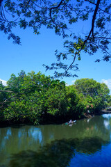 view of a fisherman driving a boat on a river with a backdrop of trees and blue sky