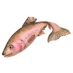 Obraz premium Freshwater rainbow trout fish. Fishing clipart. Riverine fish. Hand-drawn watercolor illustration