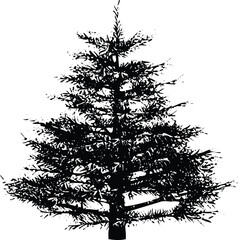 Pine tree silhouettes. Evergreen forest firs and spruces black shapes, Detailed tree silhouettes of various trees on a white background