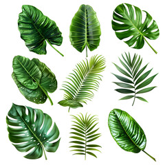 Certainly! Could you provide me with the sentence and tags? I'll generate an easy-to-understand name for the image