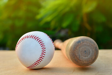 baseball and Baseball bat with sunlight
