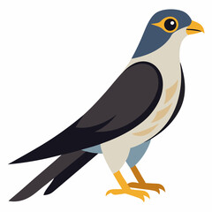 illustration of a bird