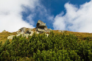 A walk in the Tatra Mountains.