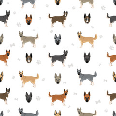 Akita Inu Siberian Husky mix. Akita Husky seamless pattern. Different coat colors set.  Vector illustration