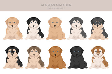 Alaskan Malador clipart. Alaskan Malamute Labrador Retriever mix. Different coat colors set.  Vector illustration