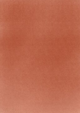 Warm terracotta and brick tones evoke a cozy, inviting atmosphere, perfect for minimalist holiday decor. These rich hues bring warmth and a festive touch to any room