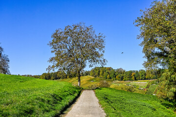 Aesch, Klus, Weinberge, Rebbergweg, Pfeffingen, Birseck, Baselland, Wanderweg, Landwirtschaft, Herbst, Herbstfarben, Schweiz, Nordwestschweiz