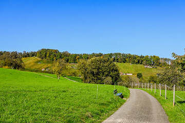 Aesch, Klus, Weinberge, Rebbergweg, Pfeffingen, Birseck, Baselland, Wanderweg, Landwirtschaft, Herbst, Herbstfarben, Schweiz, Nordwestschweiz