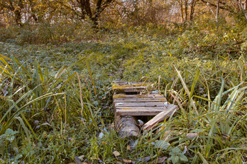an old, crumbling little bridge over a stream