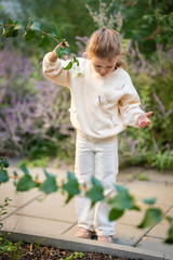 Little girl walking in the park in autumn and touching flowers in the garden. A cute girl in white clothes is standing in a flower alley. 