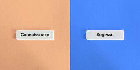 Knowledge and Wisdom Words and Banner. Text on Block Letter Tiles on Dusty Pink and Blue Background. Minimal Aesthetic.