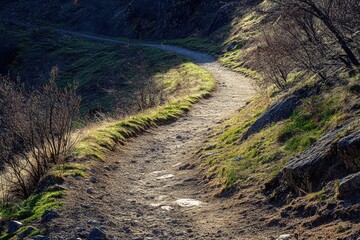 Naklejka premium A Winding Dirt Path Through a Lush, Green Forest