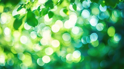 Fototapeta premium Blur Image Of Abstract Bokeh Of Tree Green Color Background