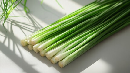 Fresh Green Onion Stalks on White Surface