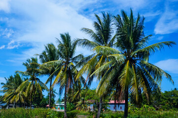 The view of the mosque and its dome can be seen from the front, creating an amazing view