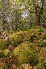 Driving the NC500 north coast of Scotland