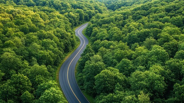 Drone shot captures a rural forest scene with a winding highway road surrounded by green trees, representing the essence of sustainable tourism and carbon capture for environmental awareness