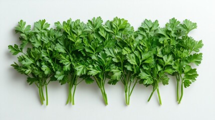 Fototapeta premium Fresh Parsley Sprigs on White Background