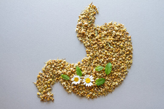 Stomach shape made of dried chamomile with chamomile flowers and mint leaves, natural remedy for healthy stomach and digestion, creative concept
