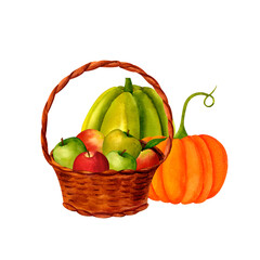Wicker basket of red and green apple, pumpkins, watercolor realistic illustration, for prints, invitations, postcards to the autumn holidays Thanksgiving, harvest festival, farmer's market, kitchen