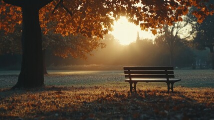 Serene Autumn Scene with Bench Beneath Tree