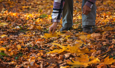 Senior woman in autumn park. Selective focus.