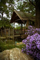 Old wooden gazebo in a natural garden with flowers