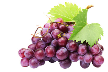 Obraz premium Grapes isolated on white