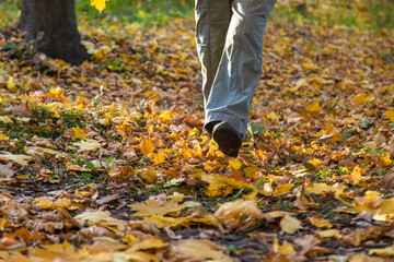 Senior woman in autumn park. Selective focus.