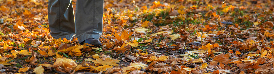 Senior woman in autumn park. Selective focus.