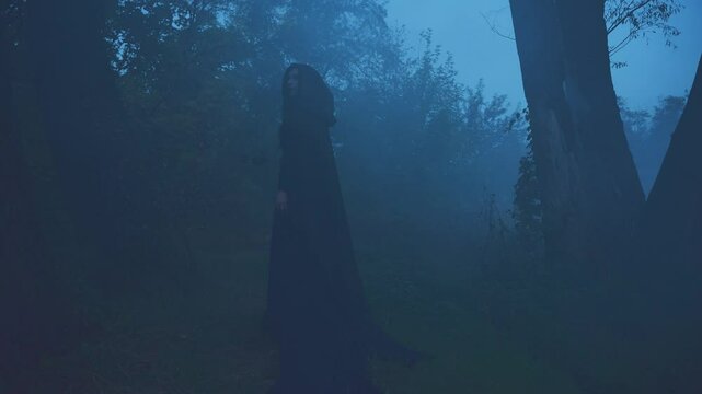 Fantasy woman witch walking in night dusk dark forest tree full fog, mystical cult girl pagan priestess back rear view. Black clothes dress cape hood on head. gothic vampire Dark long hair art video