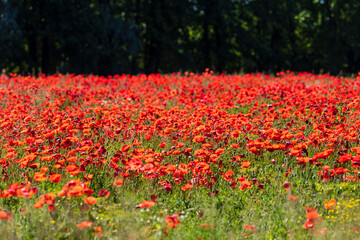 Sile River Natural Park