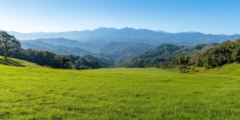 Fototapeta premium A panoramic view of lush green hills under a clear blue sky, showcasing the beauty of nature's landscape.