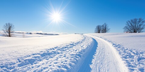 Obraz premium A winter landscape featuring a snow-covered path under a bright blue sky and shining sun.