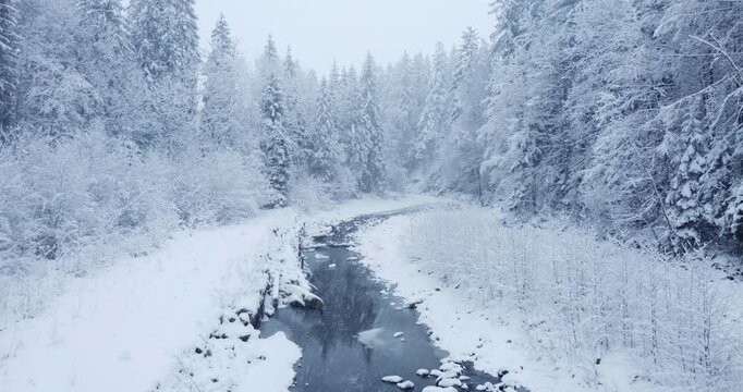 Explore Winter Wonderland a serene landscape of snowcovered rivers and majestic trees