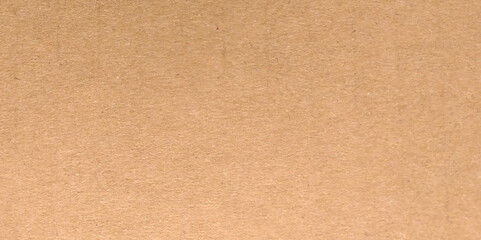 Whitish cardboard paper texture background. Copy space. Recyclable material