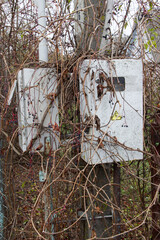 Iron electricity meter box on a pole.