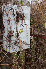 Iron electricity meter box on a pole.