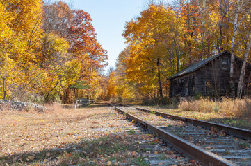 railroad in autumn forest