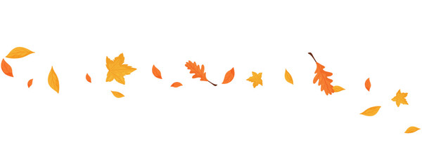 Wave of falling leaves. Leaf fall. Autumn falling leaves on a transparent background.