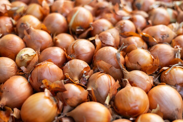 Onions found on the market stall. onion concept. onions on the counter